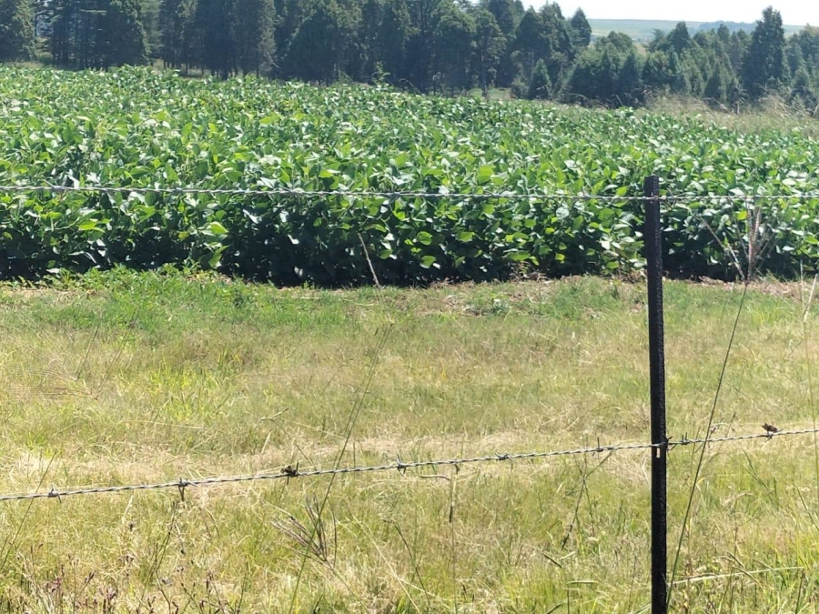 2 Bedroom Property for Sale in Bethlehem Rural Free State